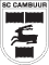 sc-cambuur 1